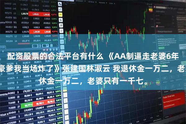 配资股票的合法平台有什么 《AA制逼走老婆6年后我儿竟喊富豪爹我当场炸了》张建国林淑云 我退休金一万二，老婆只有一千七。