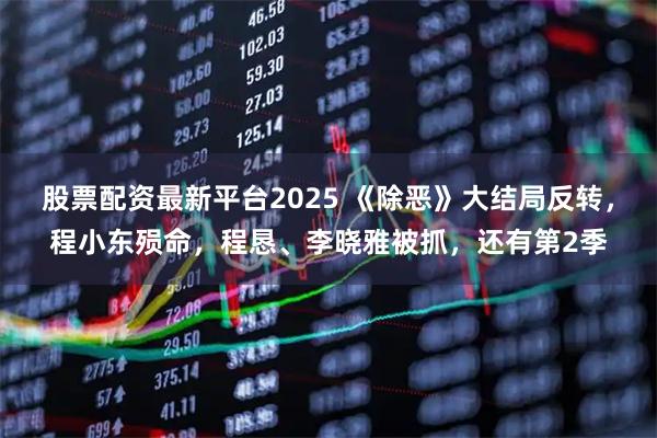 股票配资最新平台2025 《除恶》大结局反转，程小东殒命，程恳、李晓雅被抓，还有第2季