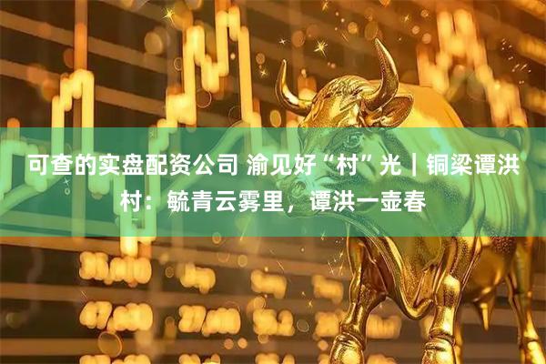可查的实盘配资公司 渝见好“村”光｜铜梁谭洪村：毓青云雾里，谭洪一壶春