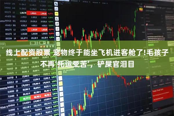 线上配资股票 宠物终于能坐飞机进客舱了!毛孩子不再‘托运受苦’，铲屎官泪目